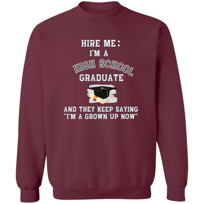 Hire Me High School Graduate