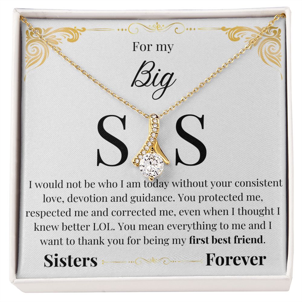 Alluring Beauty Necklace Big Sis - White message card